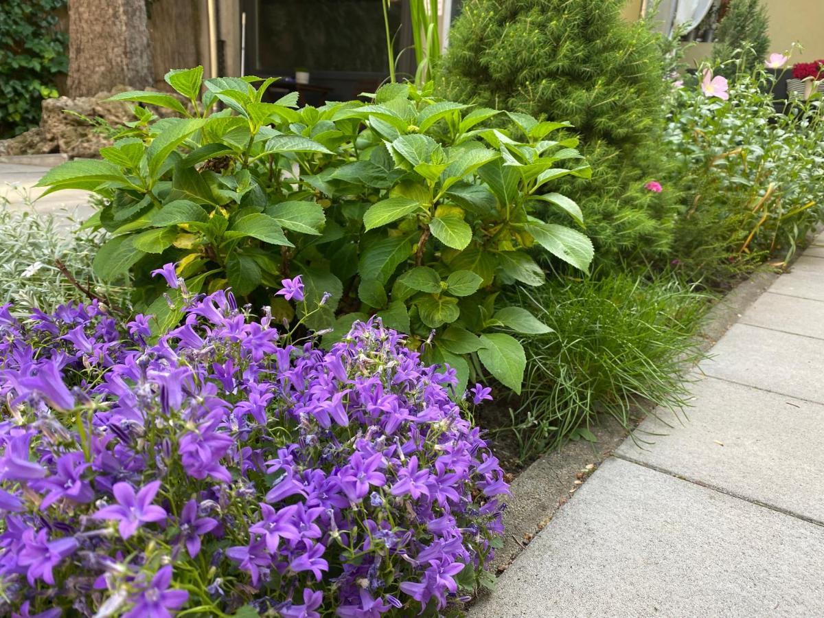 Margareta Garden & Spa Aparthotel Eger Exterior photo